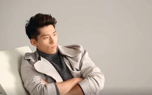 娱乐圈吃瓜爆料李晨,揭秘背后的真相与争议