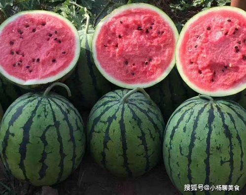 吃瓜网官网免费观看,热门剧集一网打尽!