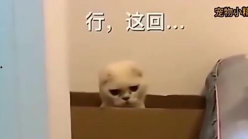 女生说在吃瓜子怎么回复,女生品味生活瞬间